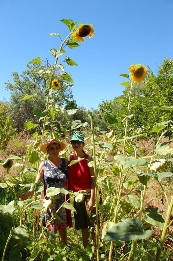Quinta Do Maranhao Villa ลากอส ภายนอก รูปภาพ